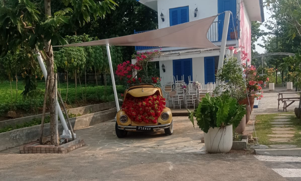 kanopi membran
